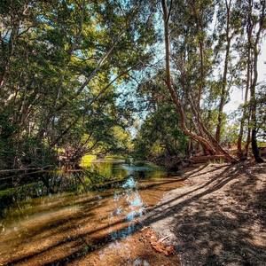 Meet your Posher, Lindsay